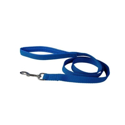 Fekrix Nylon Leash with Padded Handle Blue 15mm